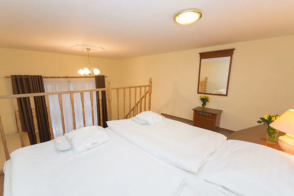 Spa Hotel Anglicky Dvur Karlovy Vary 4*,